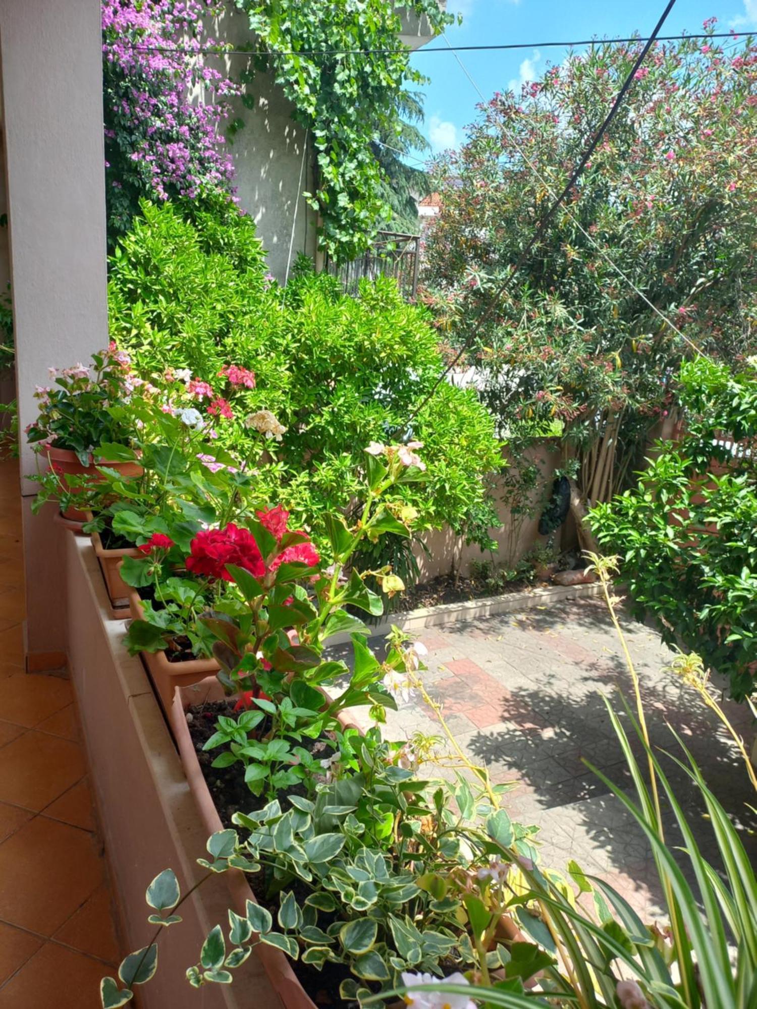 Flowers Guesthouse Tirana Exterior foto